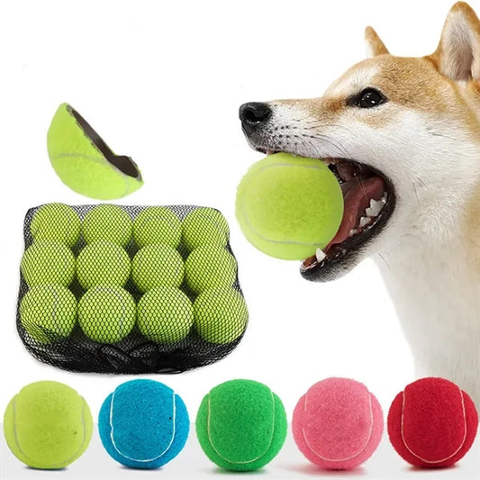 2.5 Inch Bite-Resistant Tennis Balls