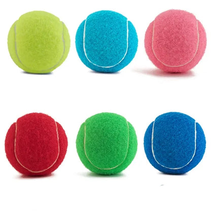 2.5 Inch Bite-Resistant Tennis Balls