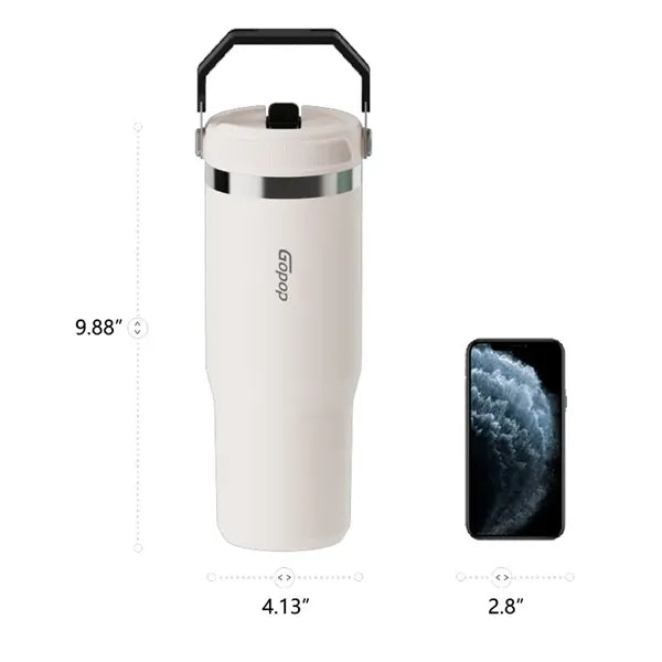 Stainless Steel Tumbler with Straw 30oz