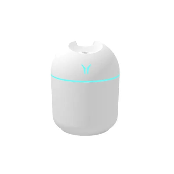 Portable Mini Humidifier Car USB Spray