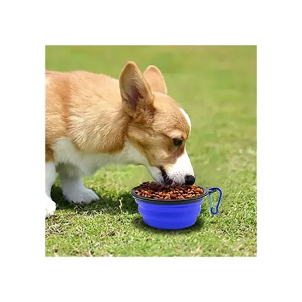 350ml Collapsible Pet Bowl with Carabiner