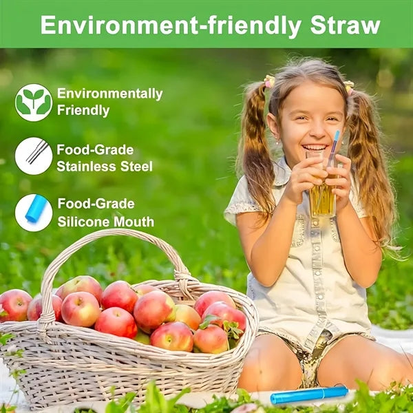 Collapsible Portable Metal Straw kit