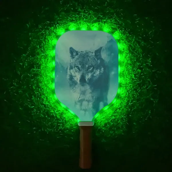 LED Light Up Pickle Ball Paddle Glow In Dark