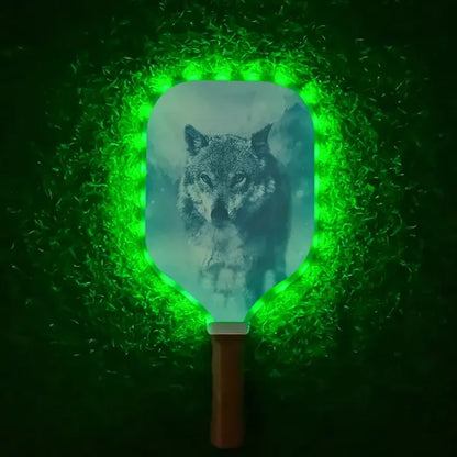 LED Light Up Pickle Ball Paddle Glow In Dark