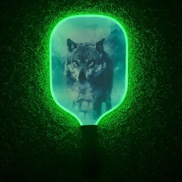 LED Light Up Pickle Ball Paddle Glow In Dark
