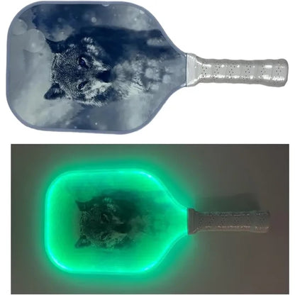 LED Light Up Pickle Ball Paddle Glow In Dark