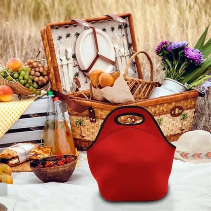 Portable Student Cooler Tote Bag Insulated Lunch Container
