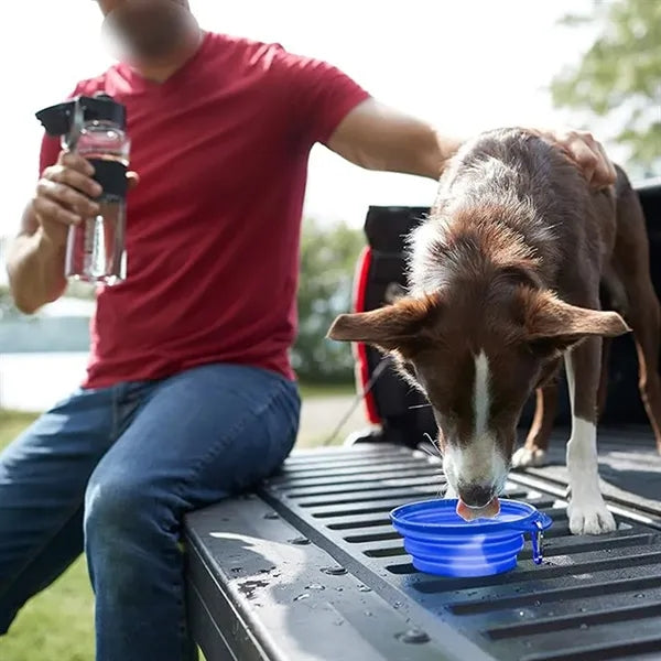 Foldable portable  practical outdoor pet feeding bowl
