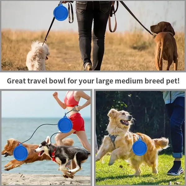 Foldable portable  practical outdoor pet feeding bowl