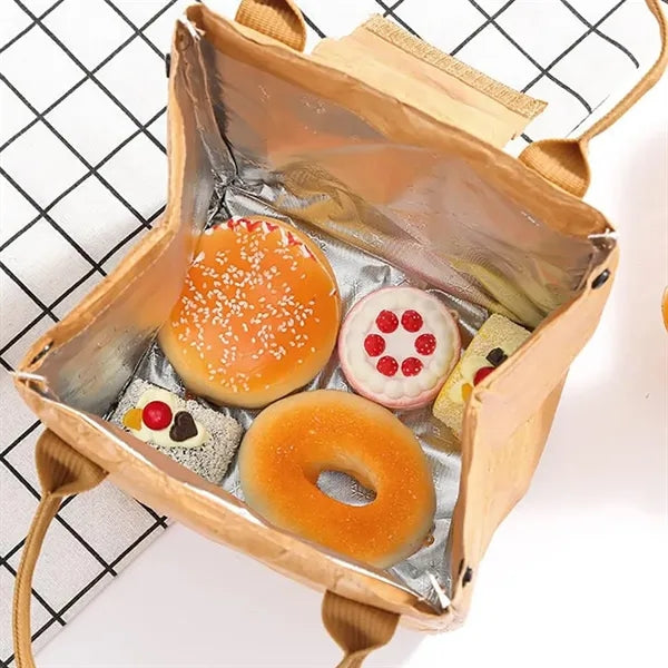 Multifunctional Large Capacity Durable Insulated Lunch Bag