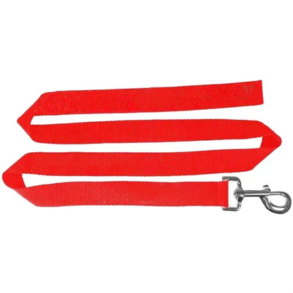 72"L Polyester Pet Leash with Metal Carabiner