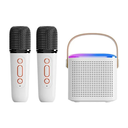 Mini Portable Bluetooth Karaoke Speaker with 2 Wireless Mics