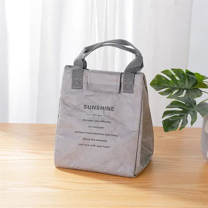 Insulated Lunch Box for Work or Picnic