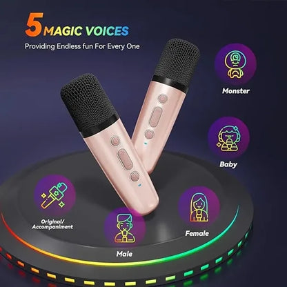 Portable Bluetooth Karaoke