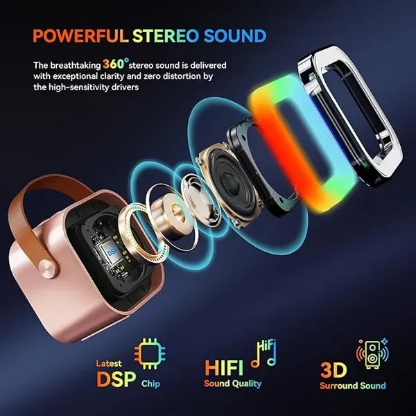 Portable Bluetooth Karaoke