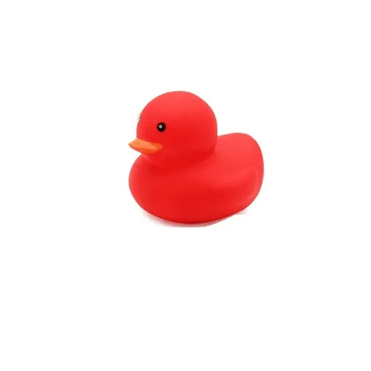 Duck Toys