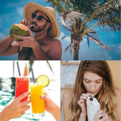 Collapsible Portable Metal Straw kit