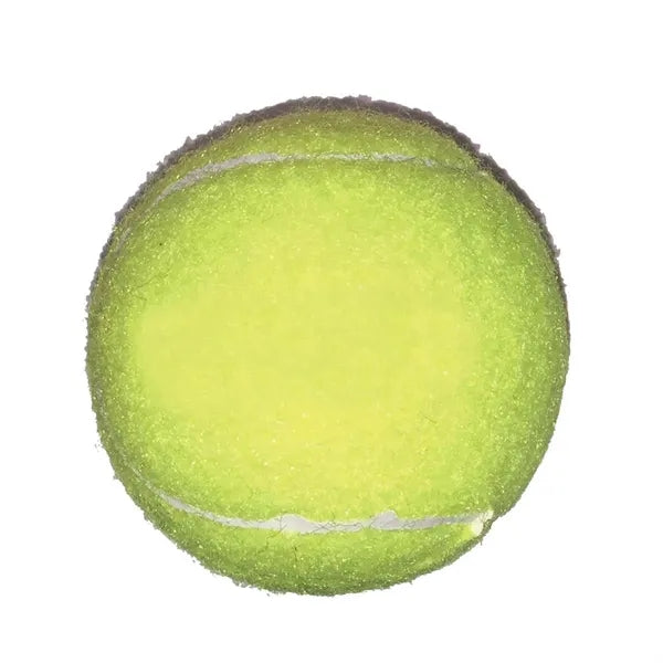 Pet Toy Tennis Ball