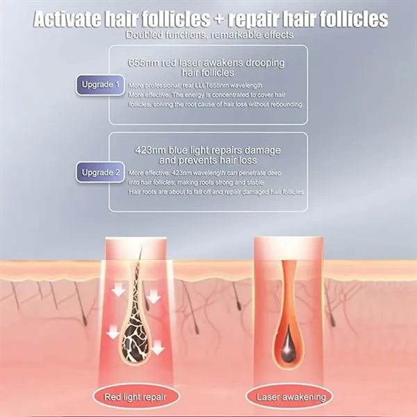 2 in 1 Electric Hair Oil Applicator Scalp Massager Comb