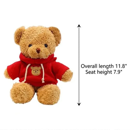Custom Teddy Bear with Hoodie - Personalized Gift Idea