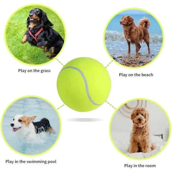 Pet Toy Tennis Ball
