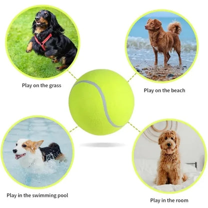Pet Toy Tennis Ball