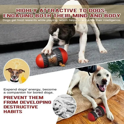 Treat Dispensing Dog Toy