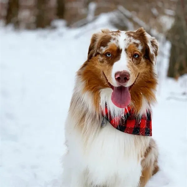 Triangle Pet Buffalo Bandana Plaid Scarf