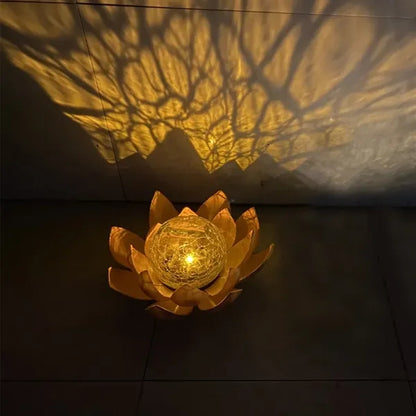 Solar Garden Lights