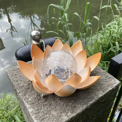 Solar Garden Lights