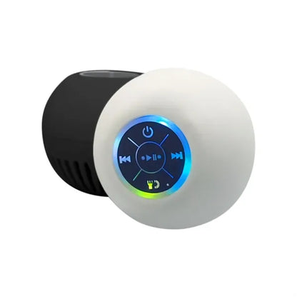Bluetooth Speakers