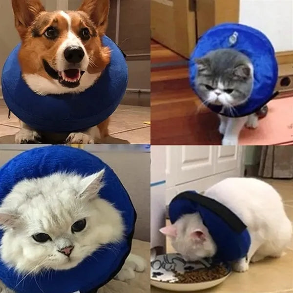 Protective Inflatable Pet Collar