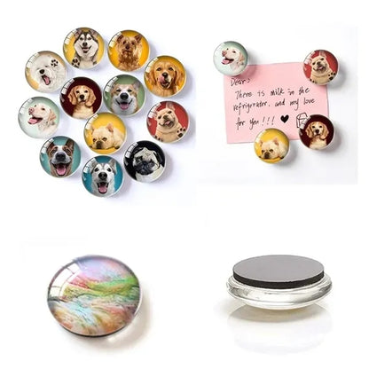 Glass Fridge Magnet