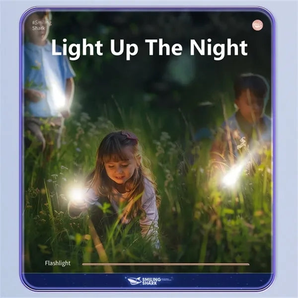 LED Flashlights