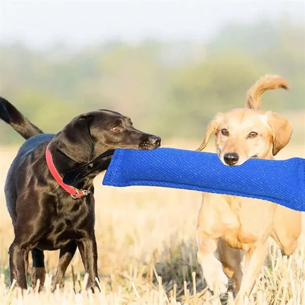 Durable Cotton Outdoor Yard Walking Dog Pet Bite Tug Toy