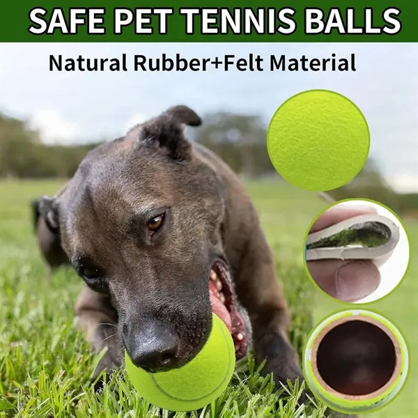 Multi color Beginner Training Pet Dog Massage Tennis Ball