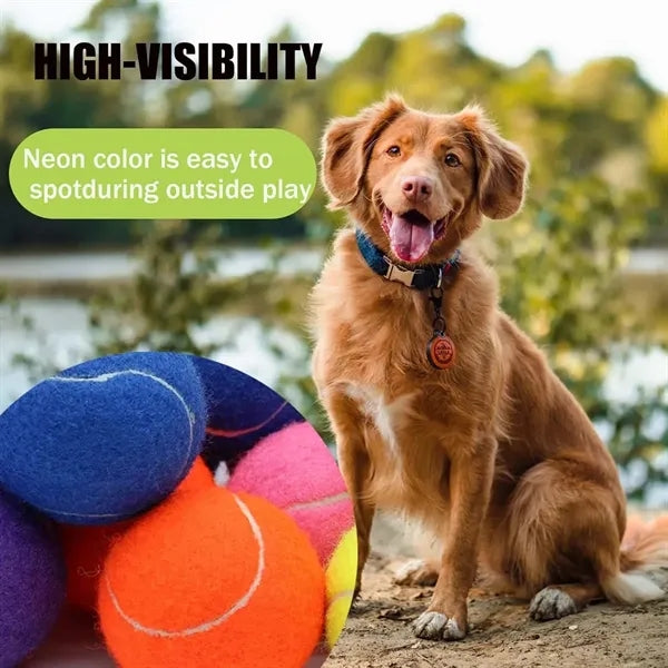 Multi color Beginner Training Pet Dog Massage Tennis Ball