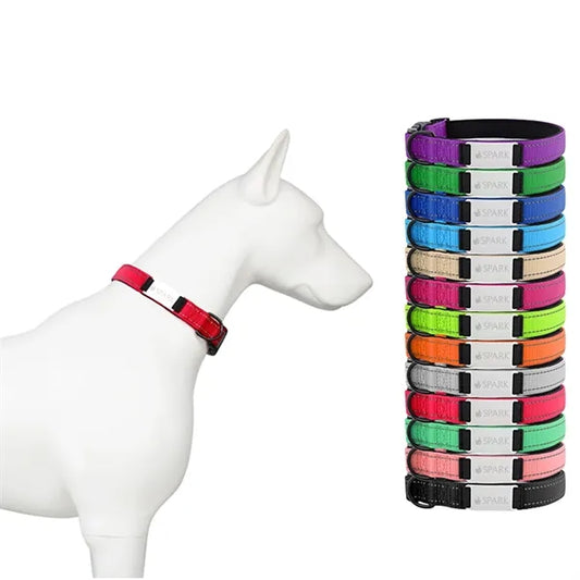 Reflective Nylon Dog Collar with Laser Engraving Plate