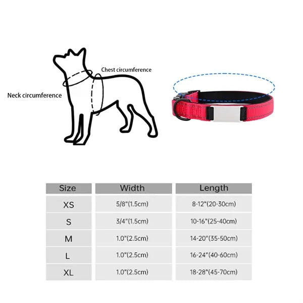 Reflective Nylon Dog Collar with Laser Engraving Plate