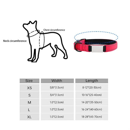 Reflective Nylon Dog Collar with Laser Engraving Plate