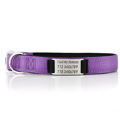 Reflective Nylon Dog Collar with Laser Engraving Plate
