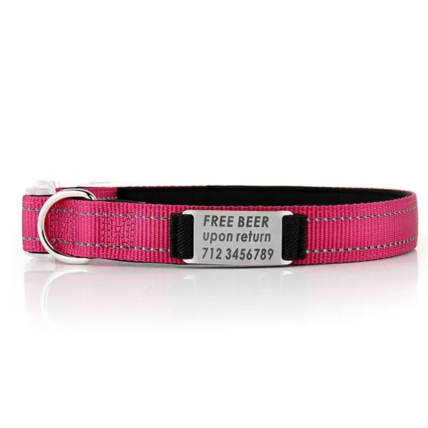 Reflective Nylon Dog Collar with Laser Engraving Plate