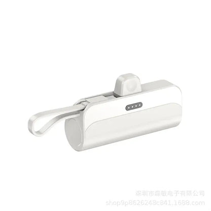 Portable large capacity charging bank