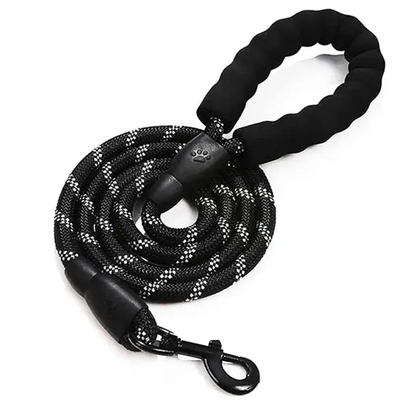 Nylon Pet Leash