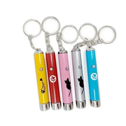 LED Cat Teaser Keychain