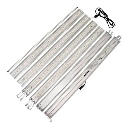 3' x 6.5' Deluxe SEG Glo Floor Display Kit