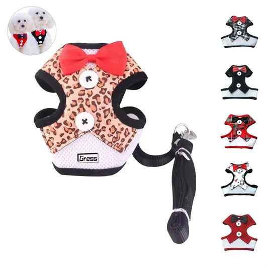 Elegant Bow Dog Collar & Adjustable Leash Set
