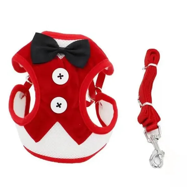 Elegant Bow Dog Collar & Adjustable Leash Set