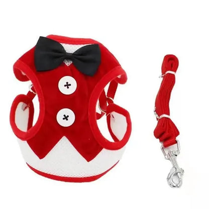 Elegant Bow Dog Collar & Adjustable Leash Set