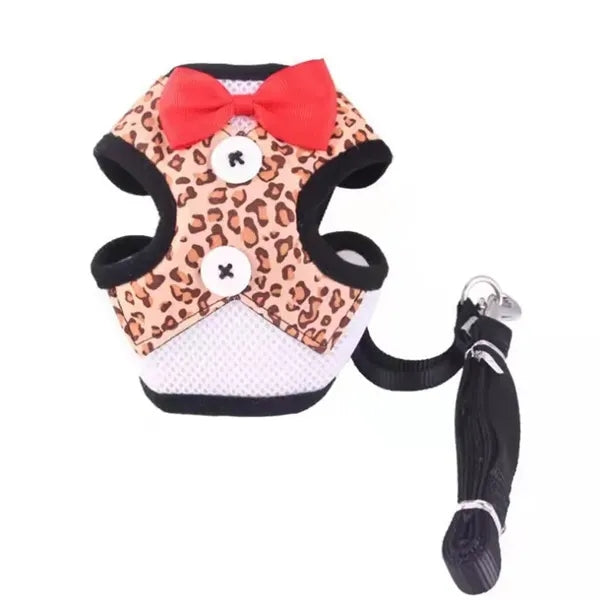 Elegant Bow Dog Collar & Adjustable Leash Set